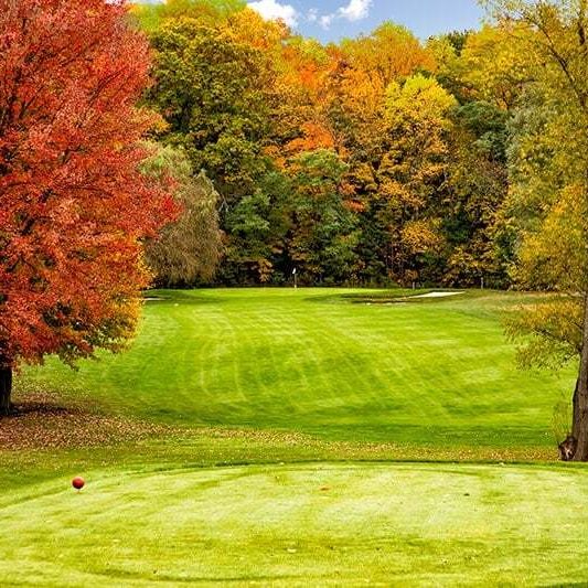 A serene golf course green surrounded by vibrant fall foliage. The green is well-manicured with a few trees displaying bright autumn colors.