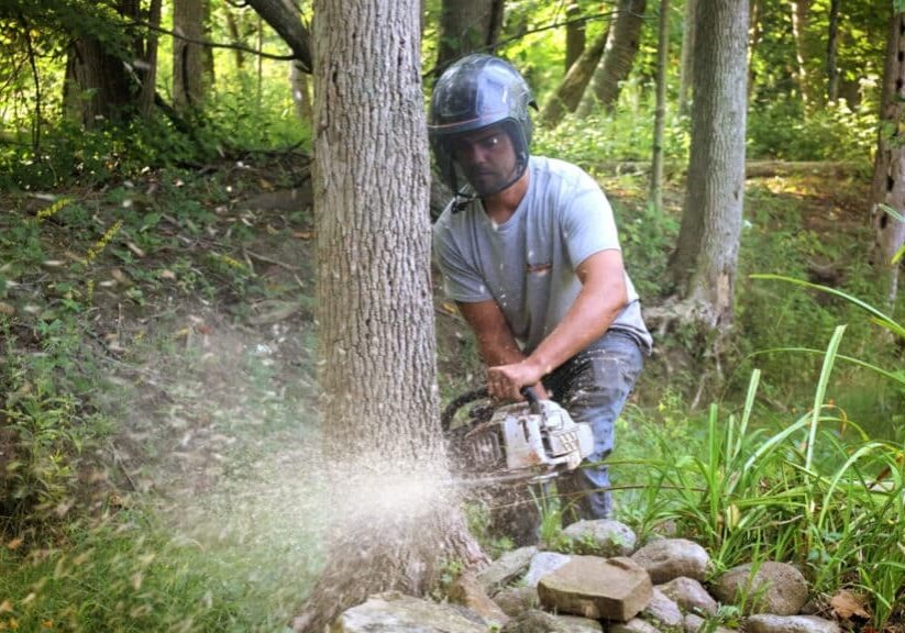 Man in a helmet using a chainsaw to cut a tree. The chainsaw is producing sawdust.