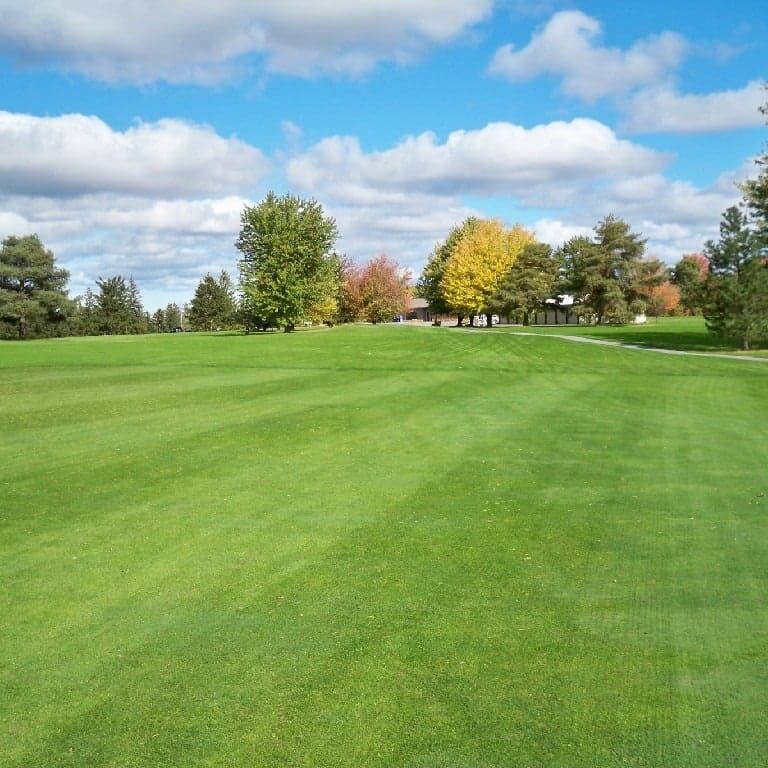 A neatly cut grass field with trees and a blue sky. The lawn appears to be part of a park or golf course.